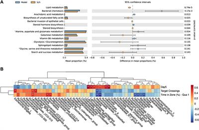 Schisandrin alleviates the cognitive impairment in rats with Alzheimer’s disease by altering the gut microbiota composition to modulate the levels of endogenous metabolites in the plasma, brain, and feces